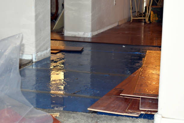 Professional Burst Pipe Cleanup technician working in Lancaster, NH